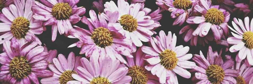 Florperezm_'s profile banner image