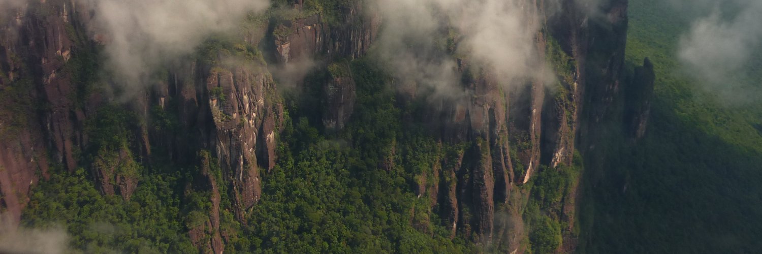 Marianela Camacho banner