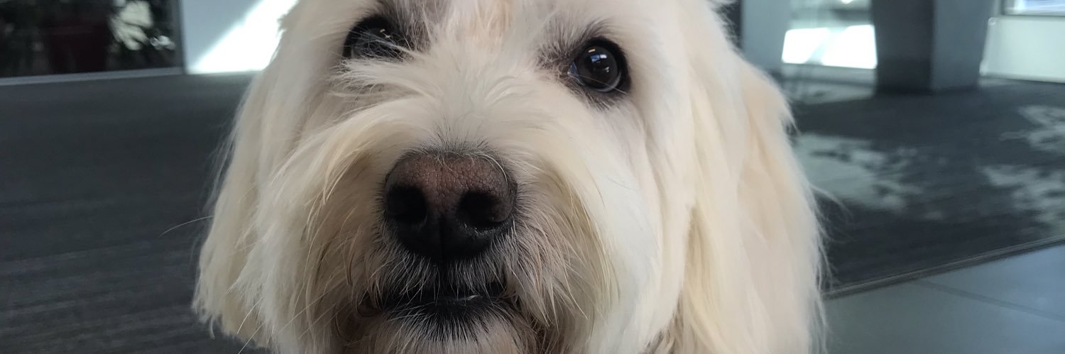 unicornchar's profile banner image