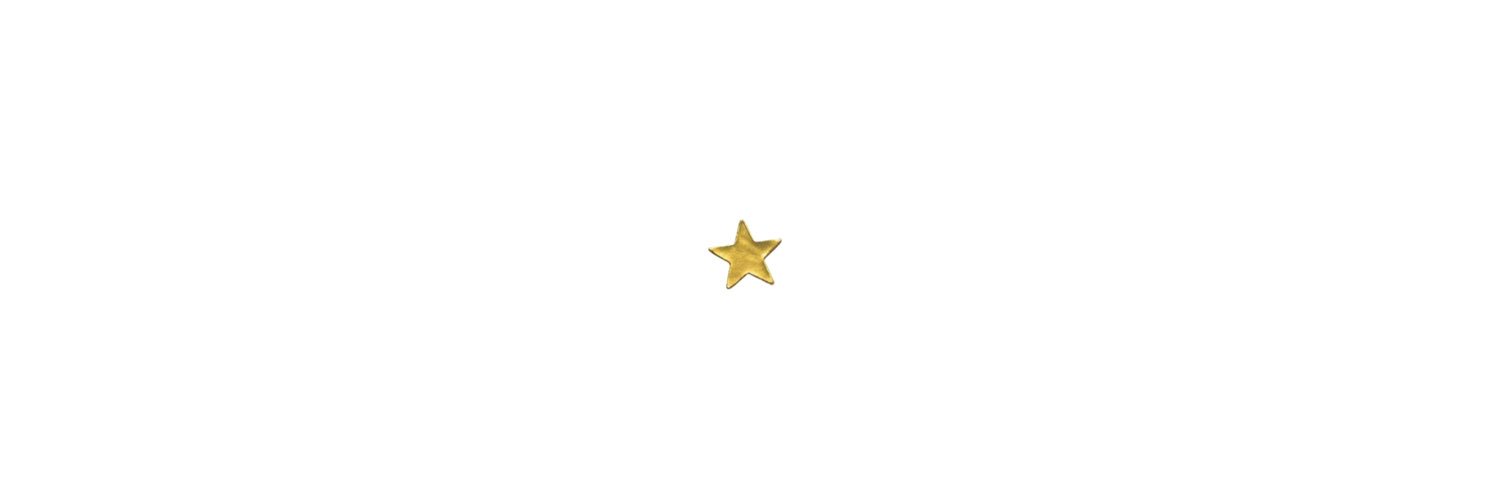 sol 💐 banner