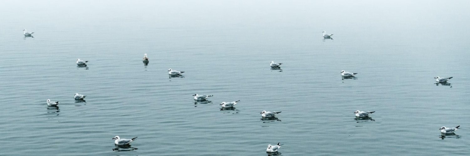 Michael Mazohl banner