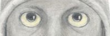 zachary banner