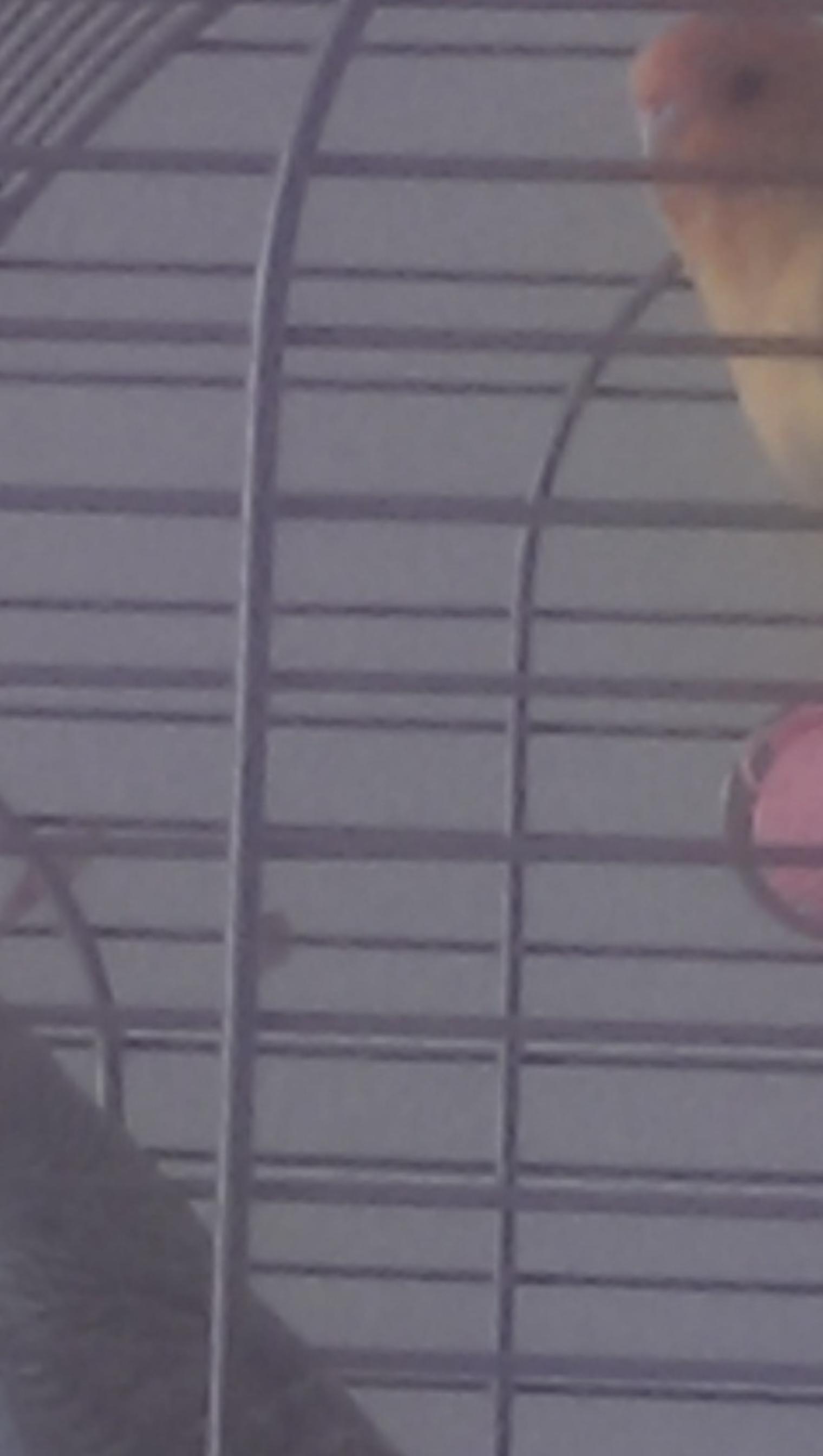 Bettysgc's profile banner image
