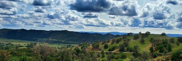 LandeeT's profile banner image