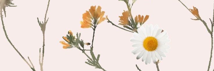 LauraD324's profile banner image
