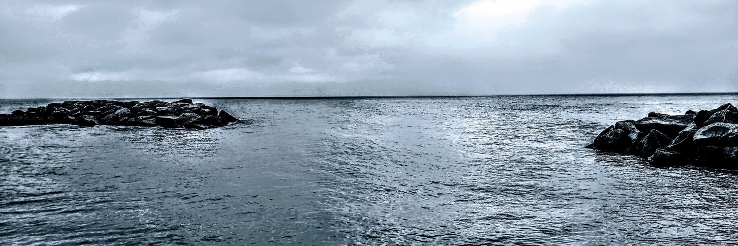 Blue Dot 🌊 I #Dissent banner