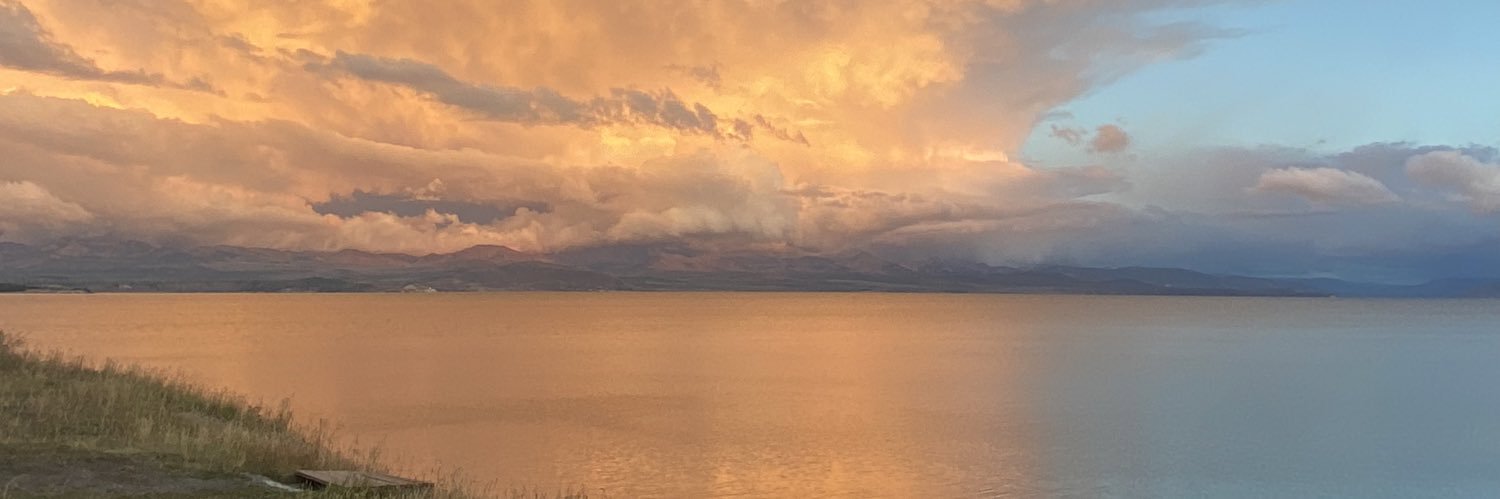 MrMrsDevilDoc's profile banner image