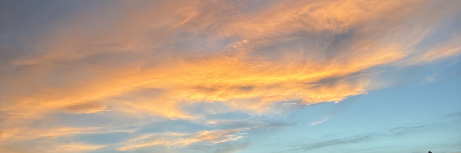 MariaRozeSina's profile banner image