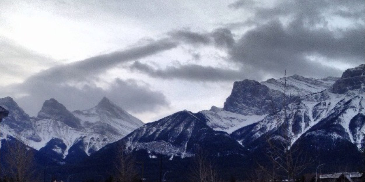 Janelledeveau's profile banner image