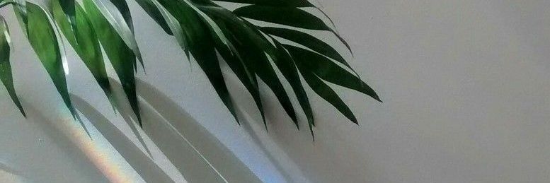 kargh18's profile banner image