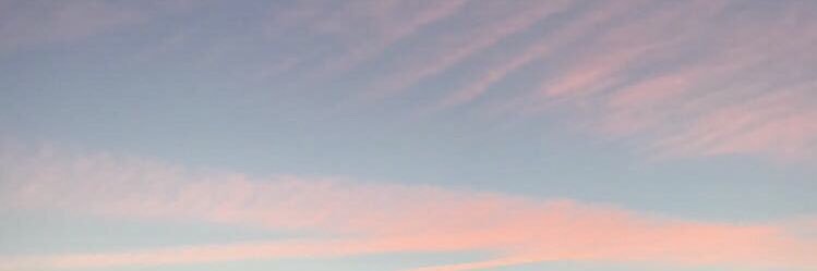 emlauren8's profile banner image