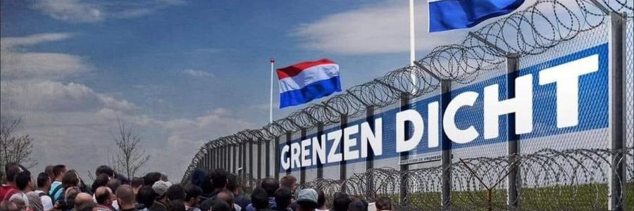 DolfijneT banner