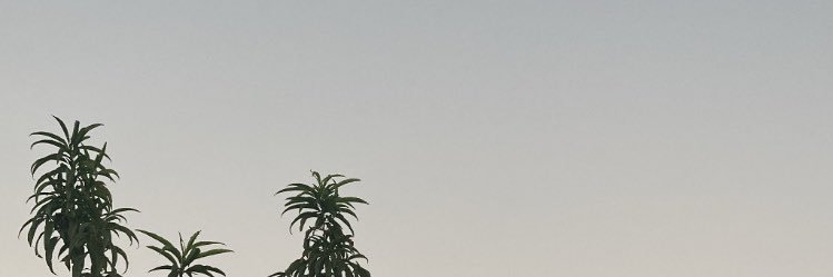 Daniel Ortuño banner