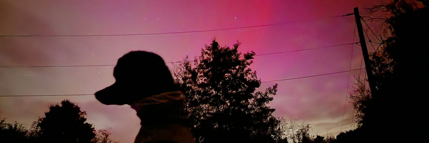 Skaiblida's profile banner image