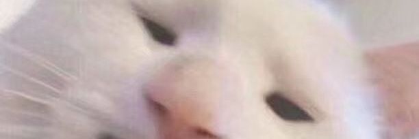 @ManWithNoName banner