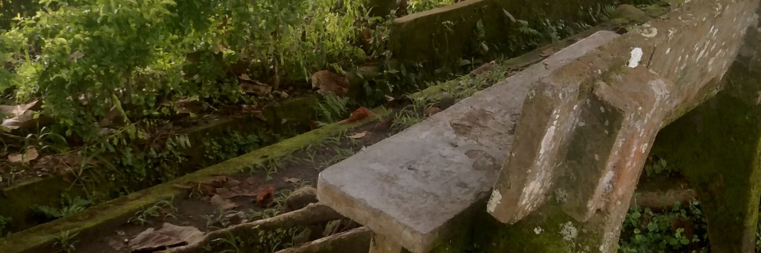 PLeganada's profile banner image