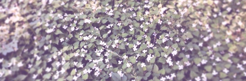 mochi_end's profile banner image