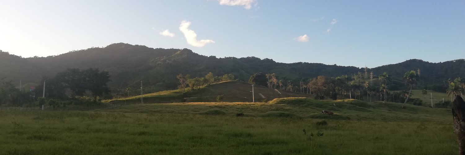AngelfelixR's profile banner image