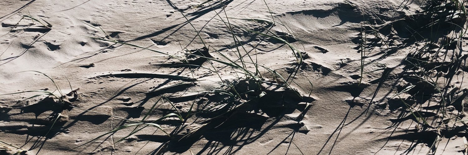 paOferS's profile banner image
