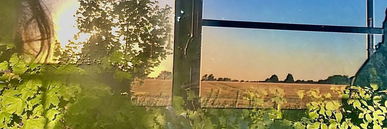 Nic___w's profile banner image