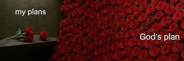 BreeAmile's profile banner image