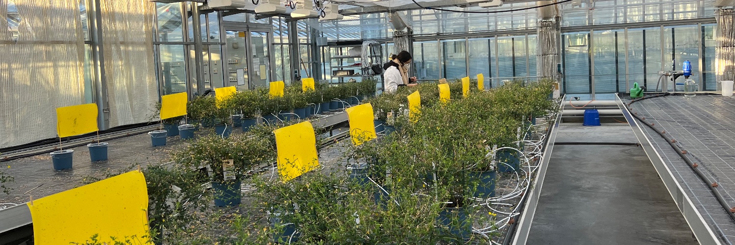 Macarena Marín banner