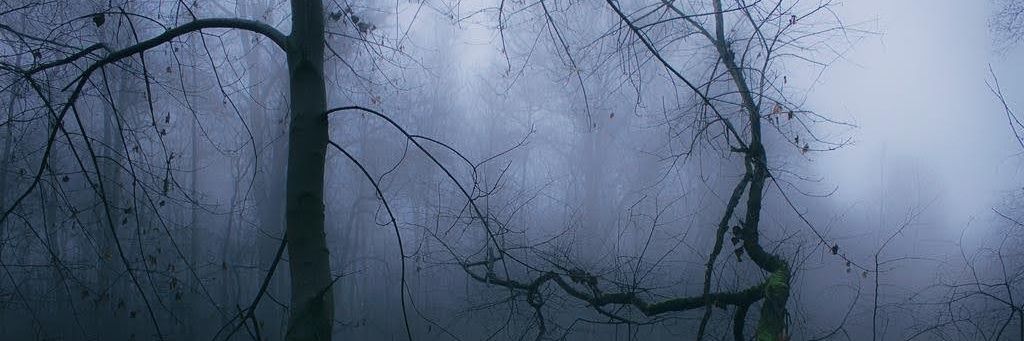 ant_n3ab's profile banner image