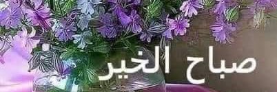 khaleda78569998's profile banner image