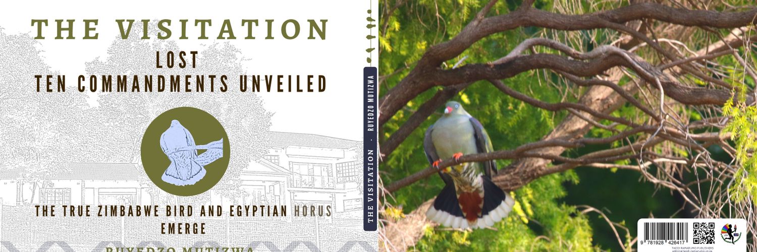 Ruyedzo Mutizwa banner