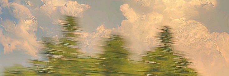 troxavsf's profile banner image