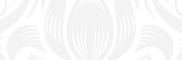 mahendar Soni banner