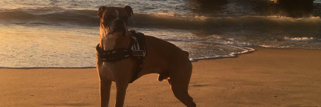 PiituuSepulveda's profile banner image