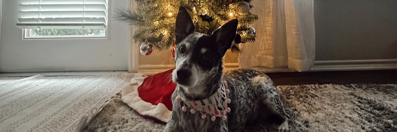 cierraspurgin's profile banner image