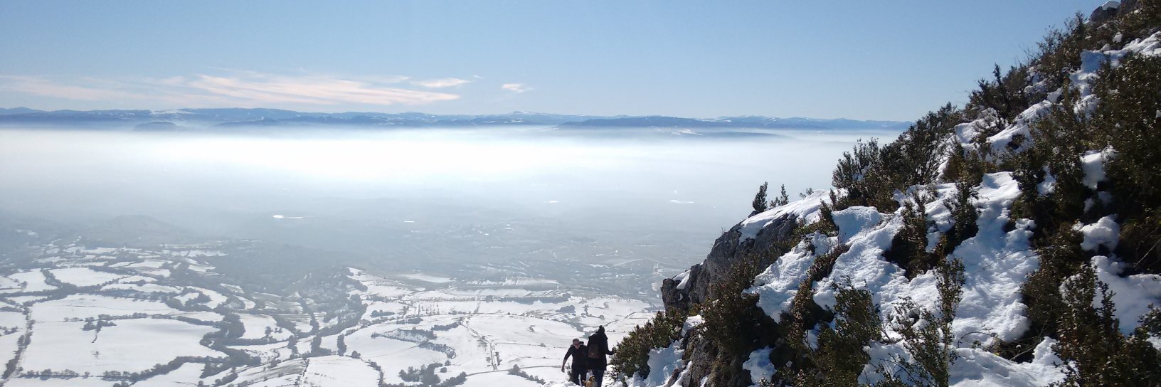 Pablo Carbonell-Bejerano banner