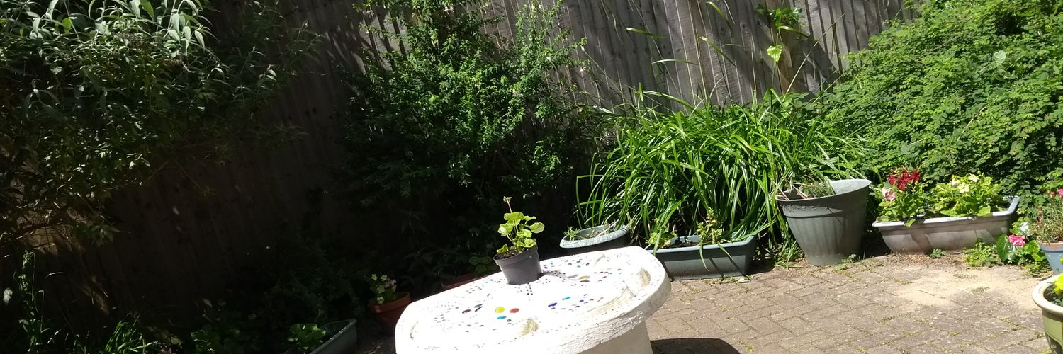 St Raphael Ward 🍋 banner