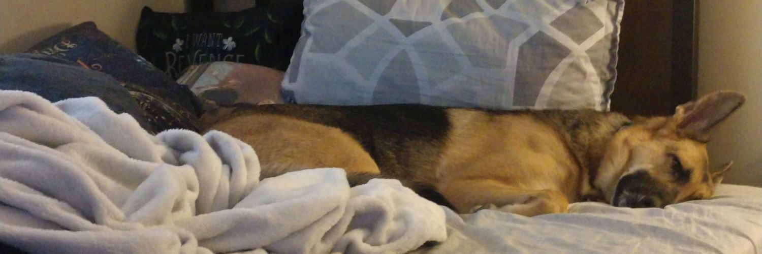 Especially Ceciley banner