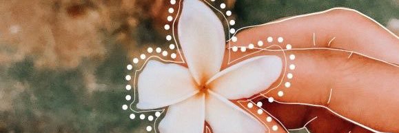 grace_vrss's profile banner image