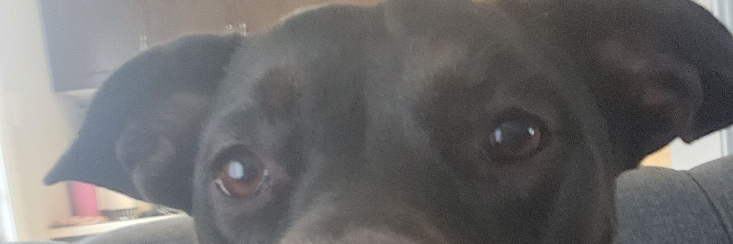 mattylons19's profile banner image
