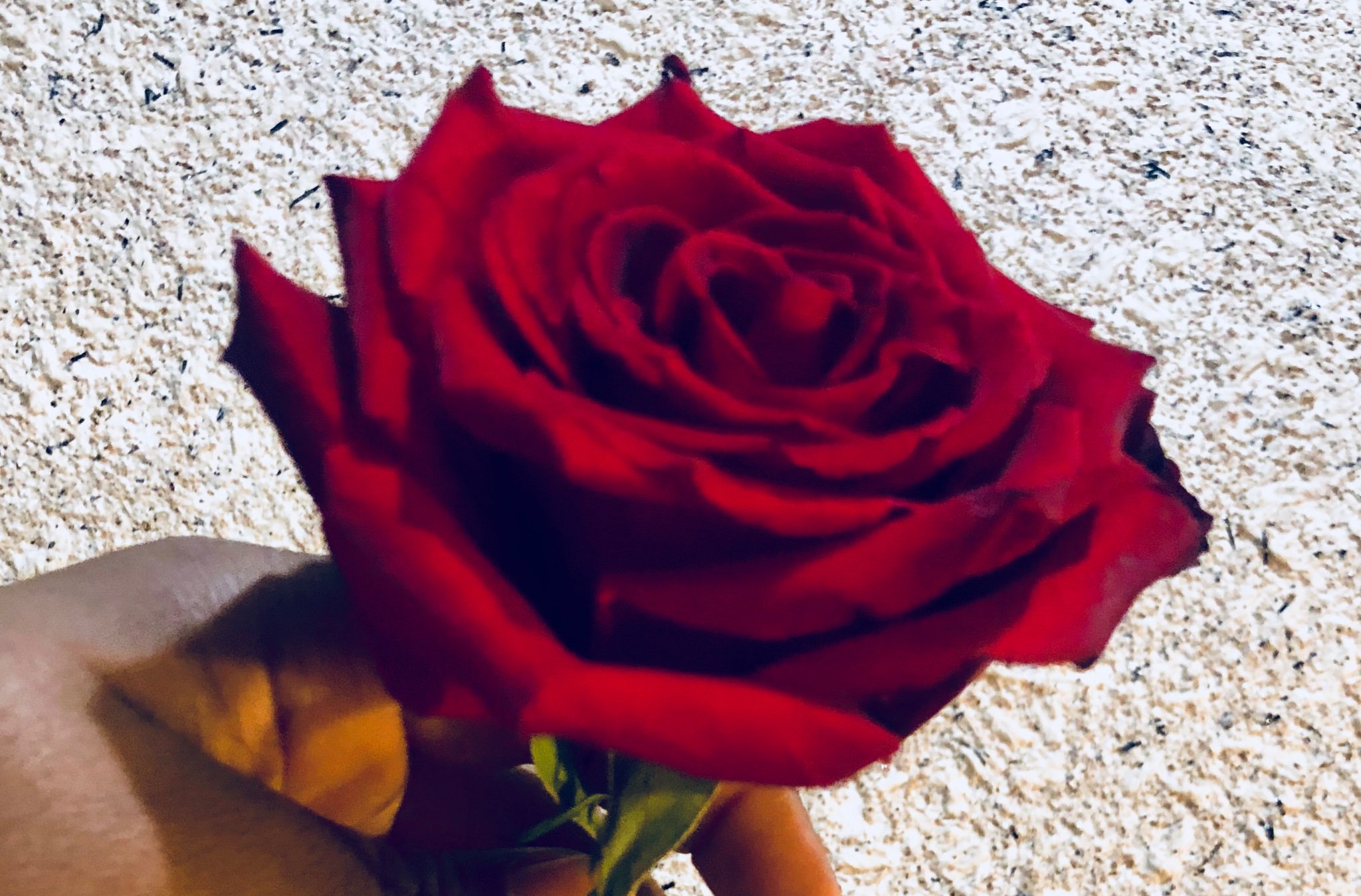NossyMsane's profile banner image