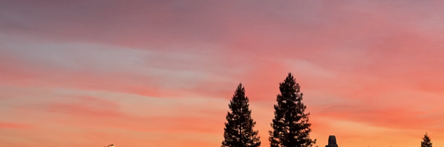 PilleAri's profile banner image
