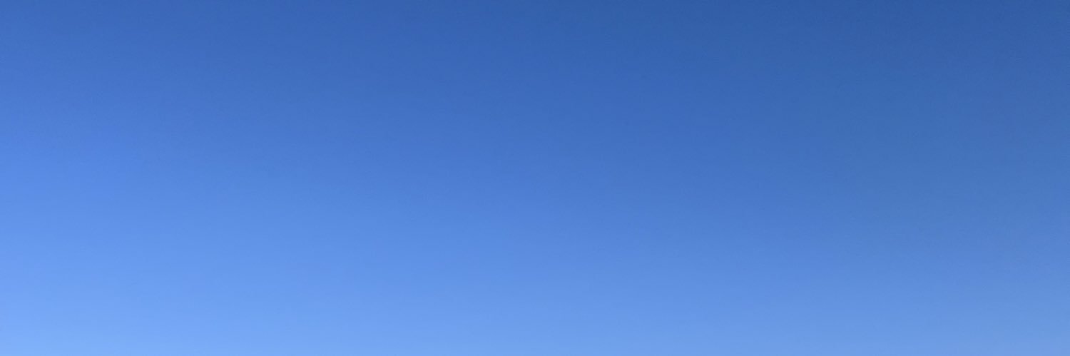 LylyWoood's profile banner image