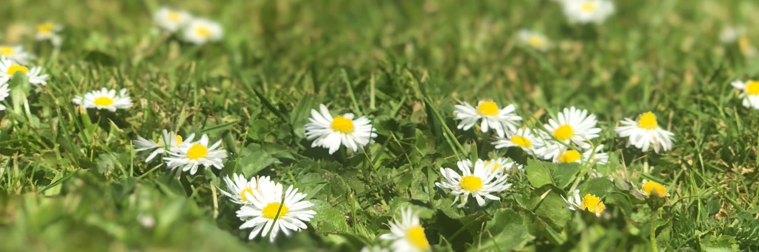 lyddmo's profile banner image