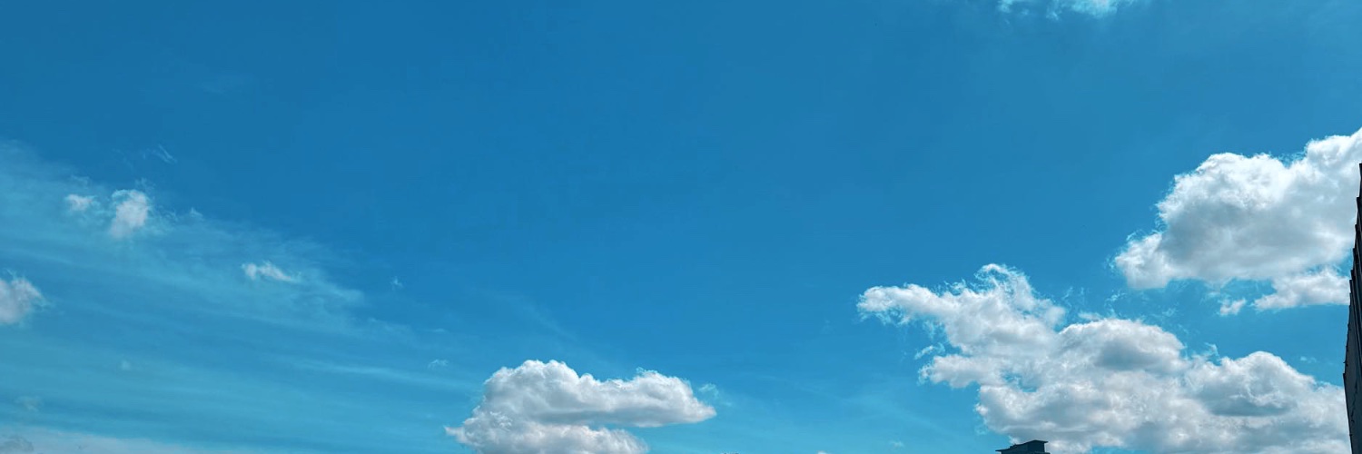 BeaBargas's profile banner image