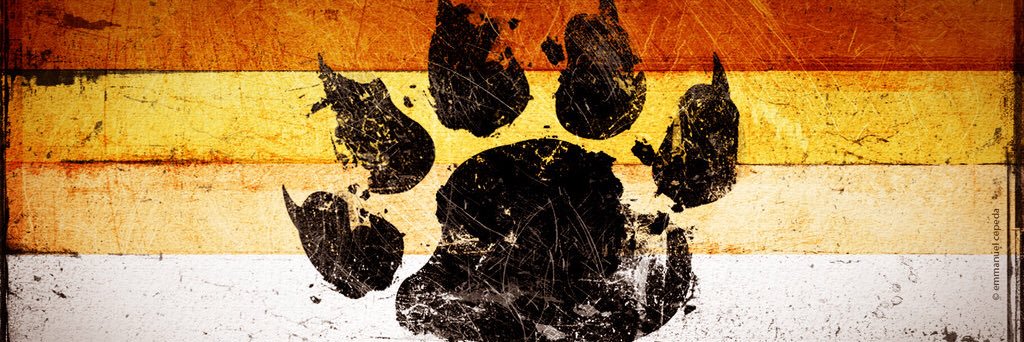 dabearcub2003 banner