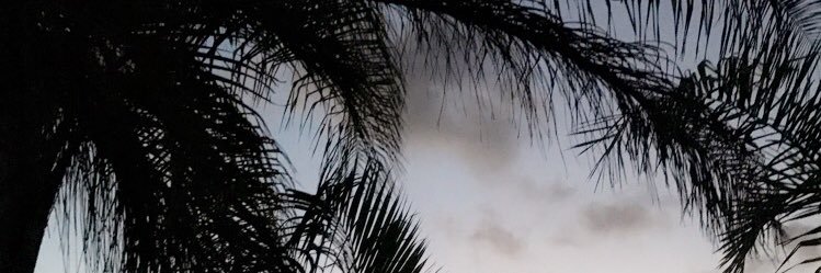 herkariss's profile banner image
