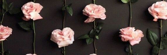 ___Lorraine's profile banner image