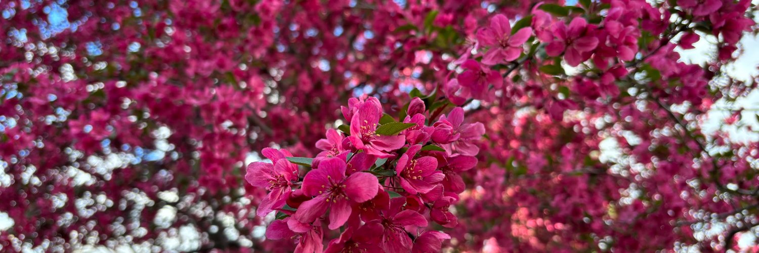 Sean Hayford Oleary banner