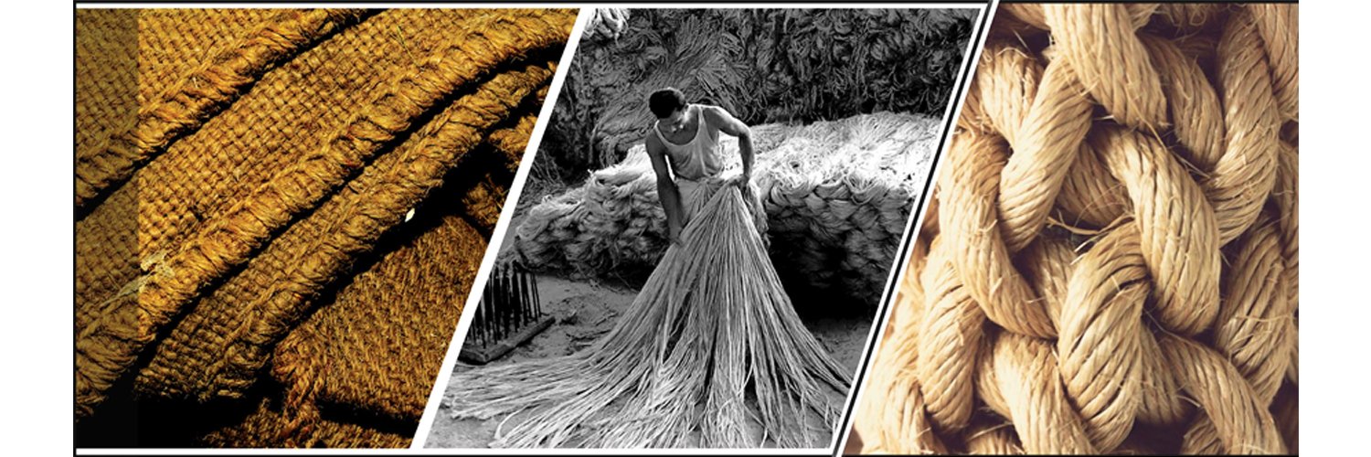 The Jute Foundation banner