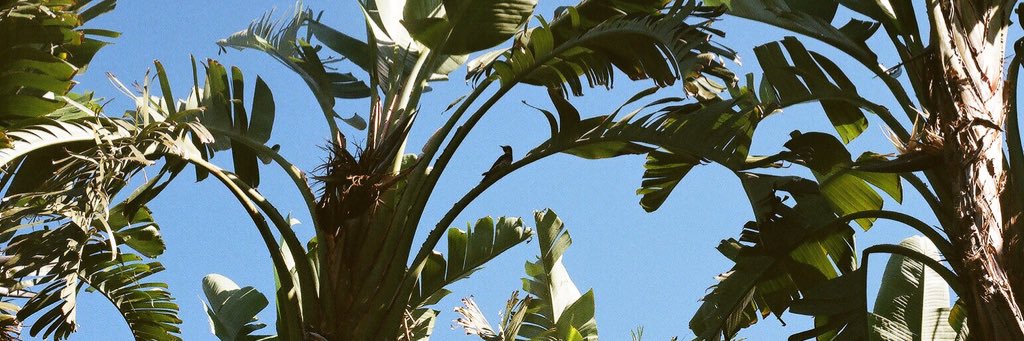 dooklan's profile banner image