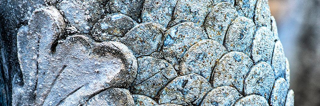 Lake Highlands Advocate banner